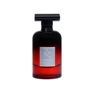 ادكلن RBC CONFIDENT FOR HIM EDP 100 ML 