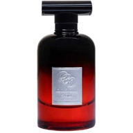 ادكلن RBC STRONG FOR HIM EDP 100 ML 