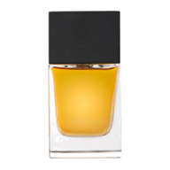 ادكلن NOBLE OUD دل لئون